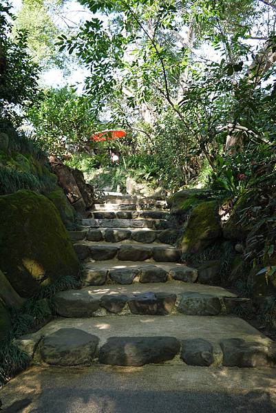 P1060440.JPG