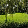 P1060446.JPG