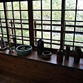 P1060558.JPG