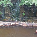 P1100647.JPG