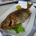 P1100520.JPG