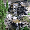 P1100544.JPG