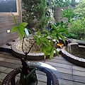 P1100563.JPG