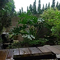P1100574.JPG