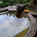 P1100620.JPG