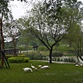 P1050381.JPG