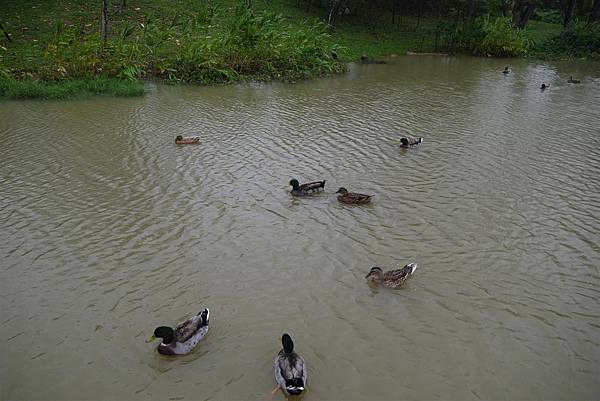 P1050338.JPG