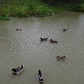 P1050338.JPG