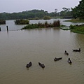 P1050341.JPG