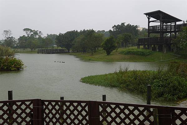 P1050354.JPG