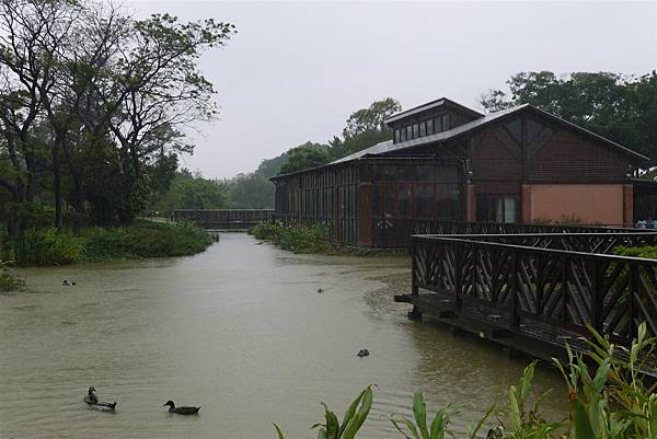 P1050352.JPG