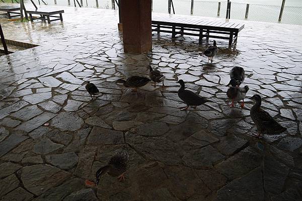 P1050371.JPG