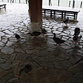 P1050371.JPG
