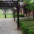 P1050374.JPG
