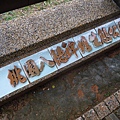 P1050348.JPG