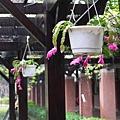 P1050376.JPG