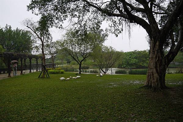 P1050377.JPG