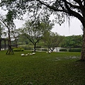 P1050377.JPG