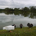 P1070569.JPG