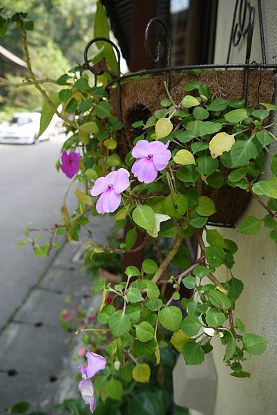 P1090203.JPG