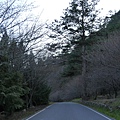 P1120906.JPG