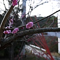 P1130012.JPG