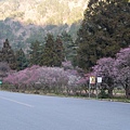 P1130064.JPG