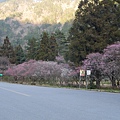 P1130066.JPG