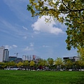 P1120750.JPG