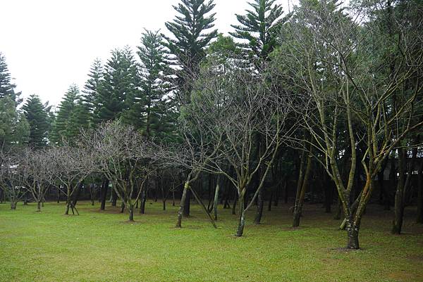 P1180477.JPG