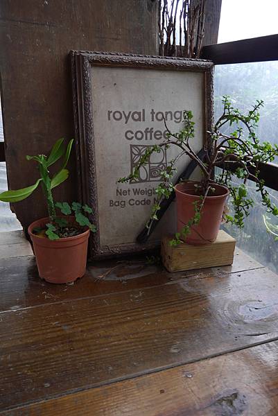 P1200635.JPG