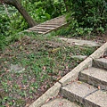 005.JPG