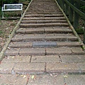010.JPG