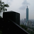 041.JPG