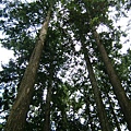 DSCF0061.JPG