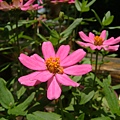 DSCF0088.JPG
