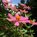 DSCF0092.JPG