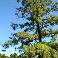DSCF0407.JPG