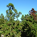DSCF0408.JPG