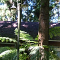 DSCF0413.JPG