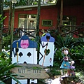 DSCF0414.JPG