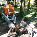 DSCF0433.JPG