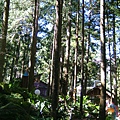 DSCF0437.JPG