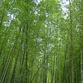 DSCF0465.JPG