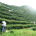 DSCF0499.JPG