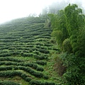 DSCF0511.JPG