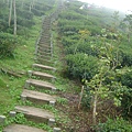 DSCF0517.JPG