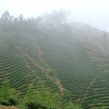DSCF0519.JPG