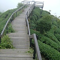 DSCF0521.JPG