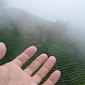 DSCF0523.JPG